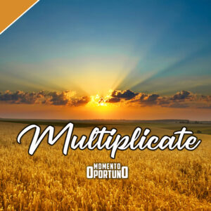 Multiplicate 01