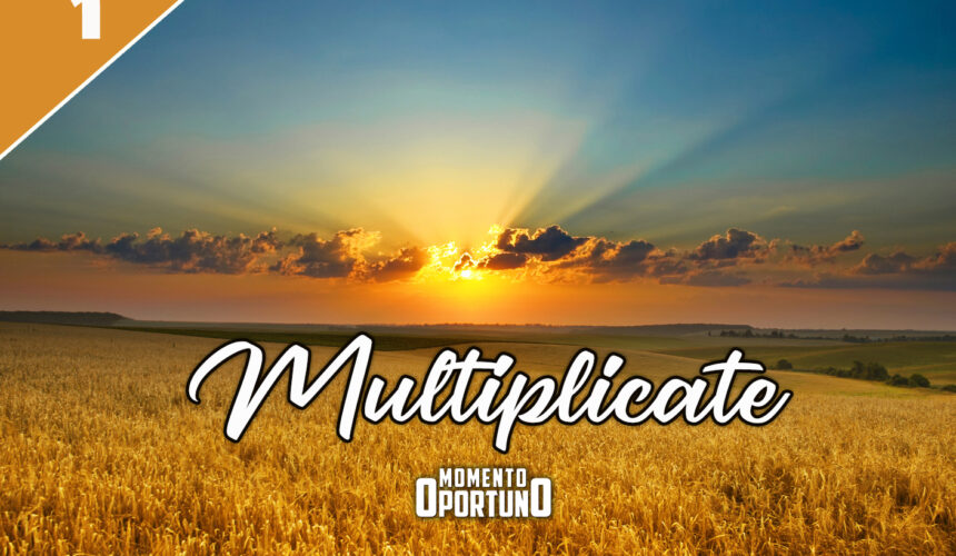 Multiplicate 01