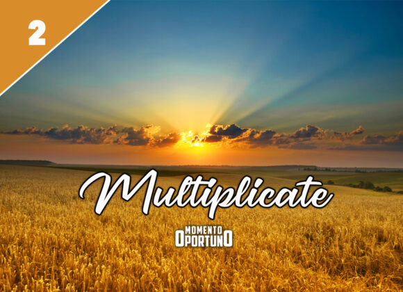 Multiplicate 02